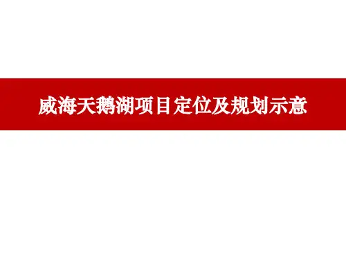 威海天鹅湖项目定位及规划示意