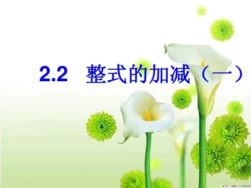 《整式的加减》课件1