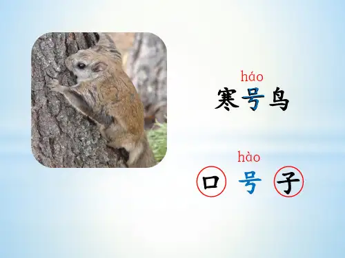 部编版二年级上册语文-13-《寒号鸟》