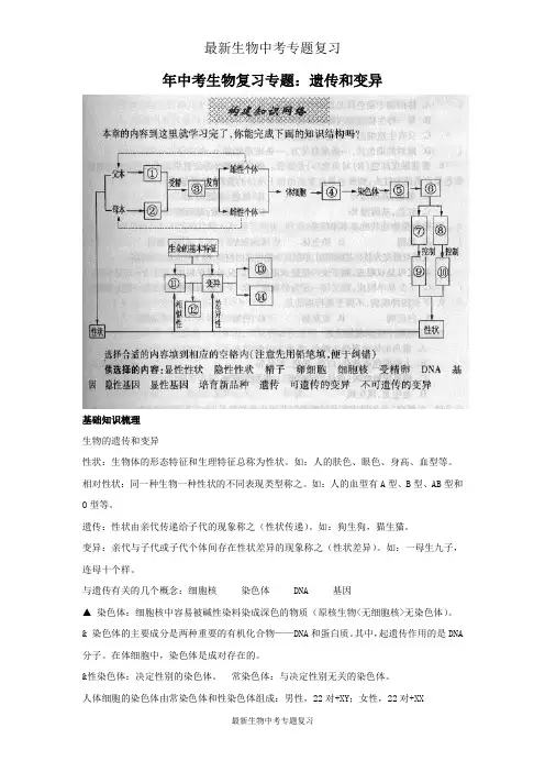 最新中考生物复习专题：遗传和变异