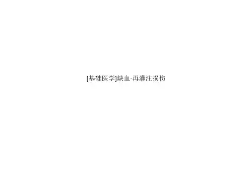 [基础医学]缺血-再灌注损伤