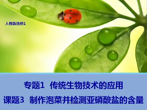 高中生物选修一 制作泡菜并检测亚硝酸盐含量 (人教版)