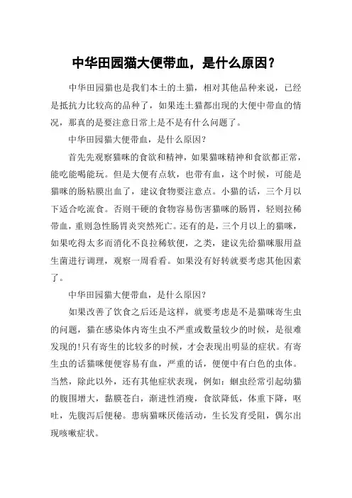 中华田园猫大便带血,是什么原因？
