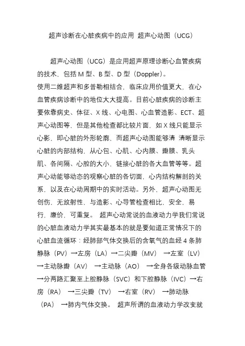 超声诊断在心脏疾病中的应用 超声心动图(UCG)