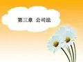 第三章 公司法资料