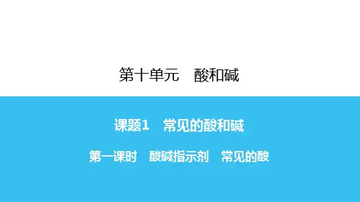 九年级化学下册练习课件-第10单元 课题1 常见的酸和碱  第1课时-人教版