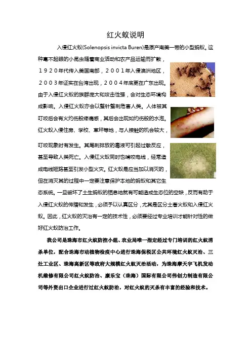 红火蚁说明