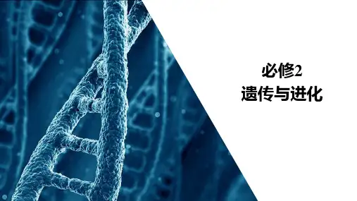 2021届新高考生物一轮复习(选择性考试A方案)课件:必修2 第5单元 第18讲 人类遗传病