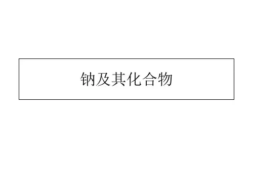 钠及其化合物 ppt