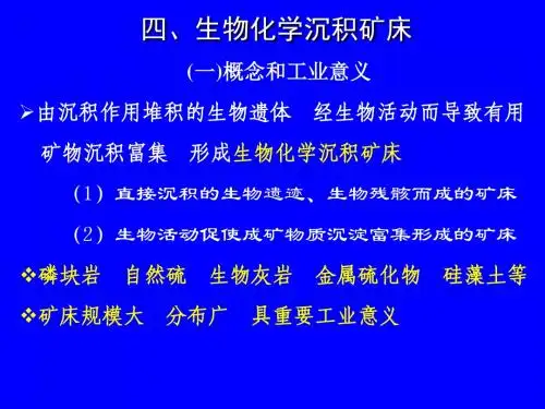 沉积矿床的主要类型4