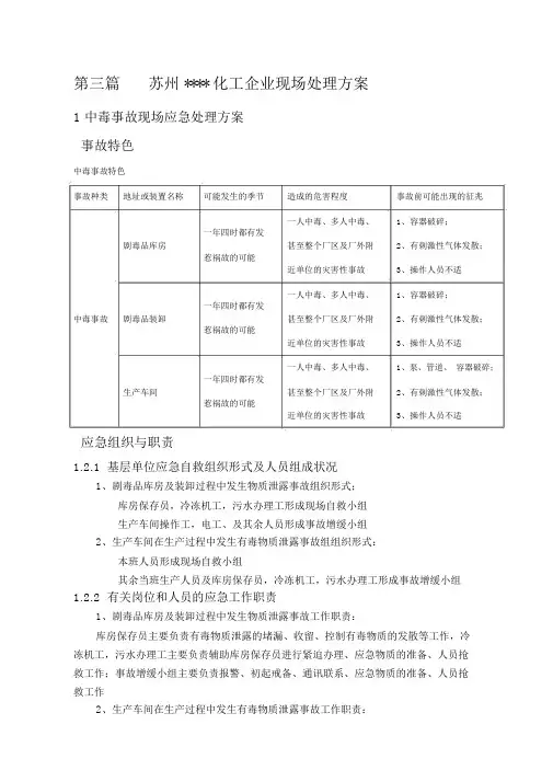 化工公司现场处置方案模板