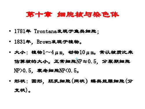 细胞核与染色体
