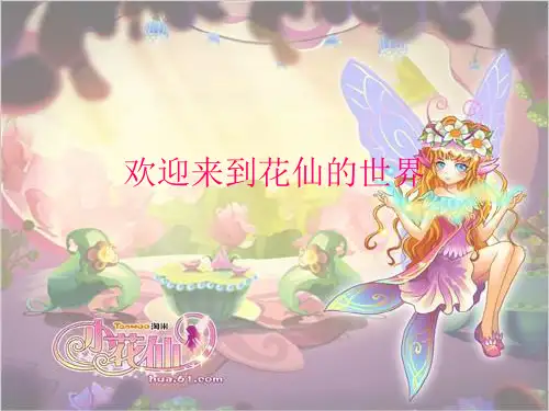 关于小花仙