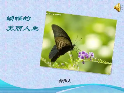 蝴蝶生长发育变化过程共54页