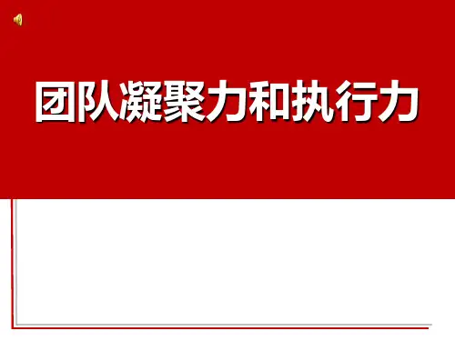 团队凝聚力和执行力