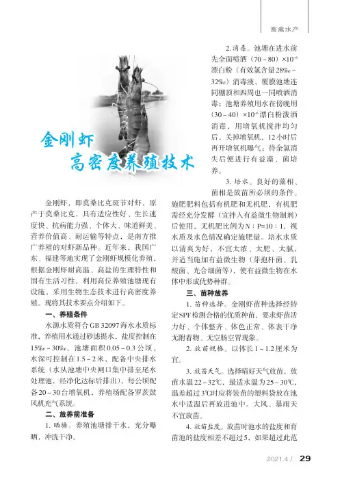 金刚虾高密度养殖技术