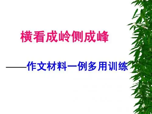 [作文]一例多用ppt