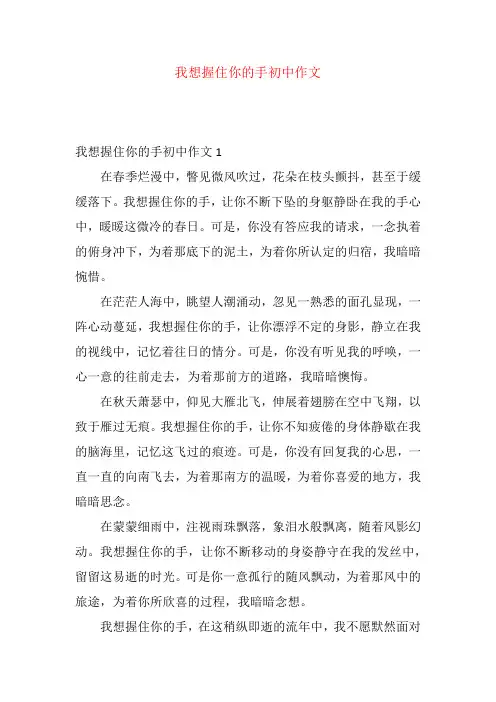 我想握住你的手初中作文