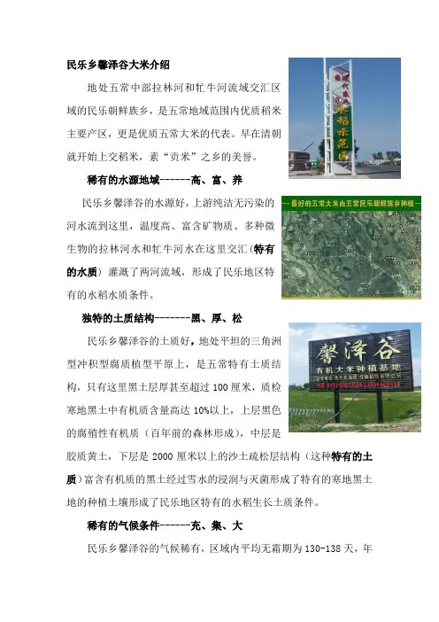东北五常大米优质米介绍