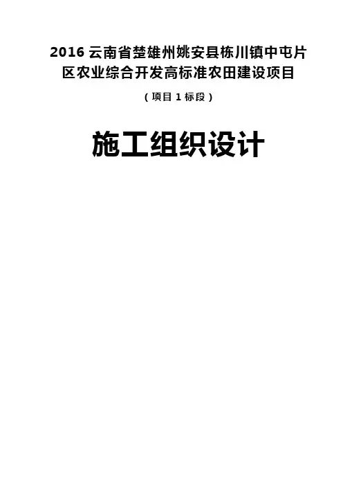 农业综合开发高标准农田建设项目施工组织设计 (3)