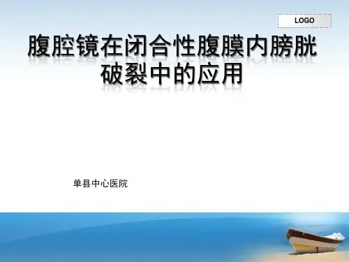 膀胱破裂PPT课件