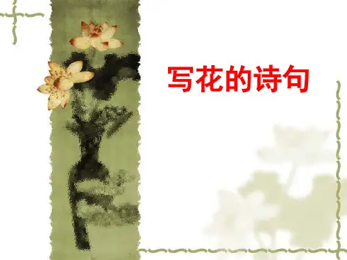 花、鸟、山、水的诗句
