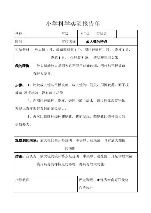 六年级下册科学实验报告单