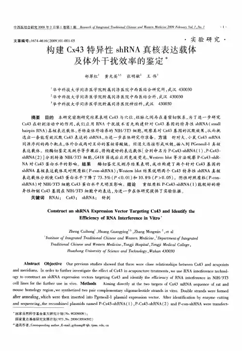 构建Cx43特异性shRNA真核表达载体及体外干扰效率的鉴定