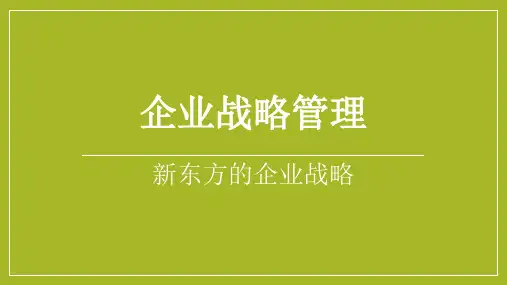 新东方集团战略管理分析精品PPT课件