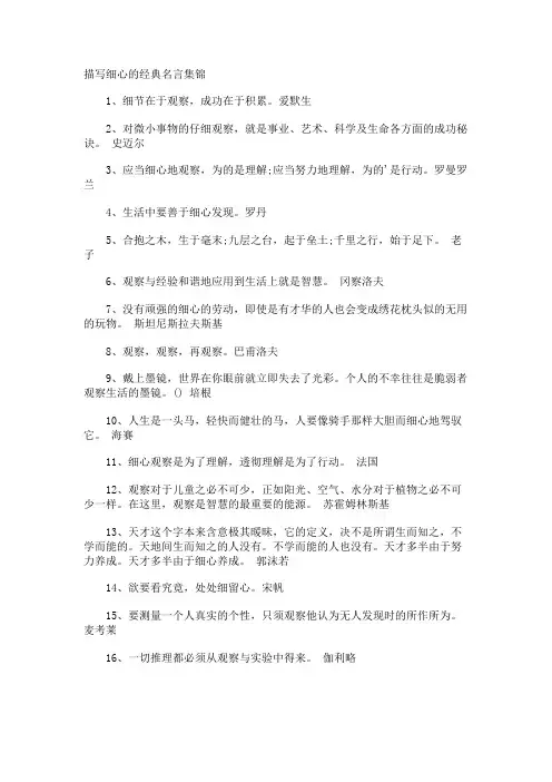 描写细心的经典名言