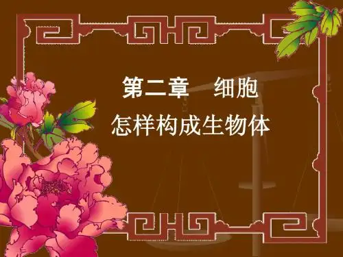 七年级生物植物体的结构层次3