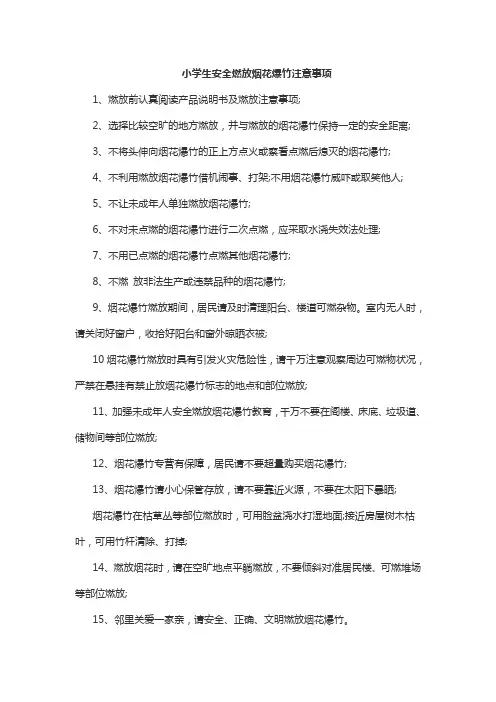 小学生安全燃放烟花爆竹注意事项 2