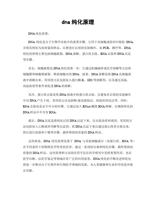 dna纯化原理