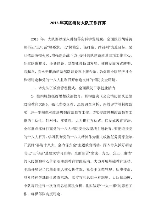 2013年某区消防大队工作打算