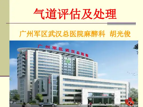 气道评估和处理
