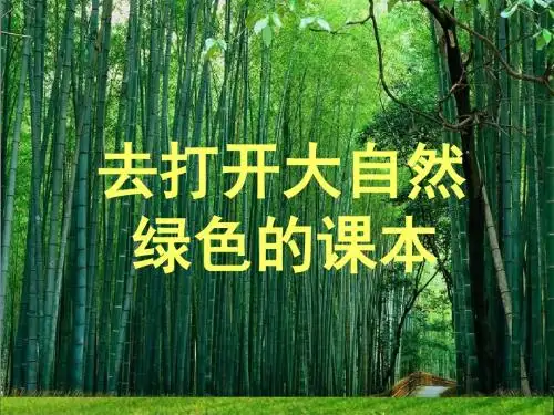 《去打开大自然绿色的课本》教学课件(第一课时)