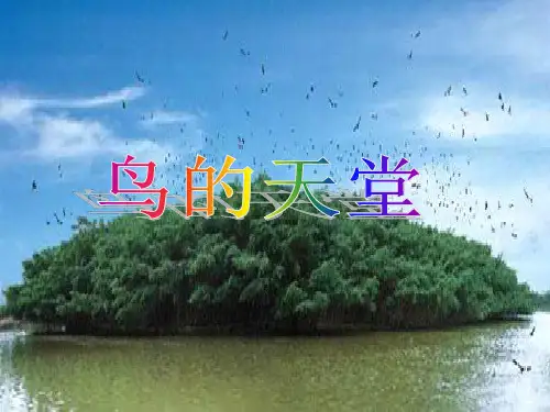 部编版《鸟的天堂》PPT课件