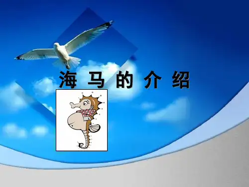 海马