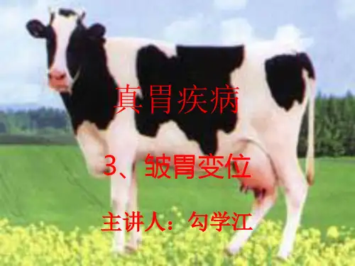 反刍动物真胃疾病3