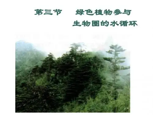 七年级生物绿色植物与生物圈的水循环