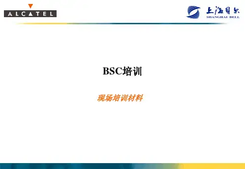 BSC维护及故障处理