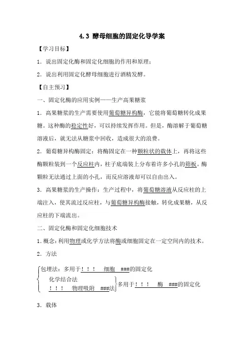4.3酵母细胞的固定化导学案高二生物人教版选修一