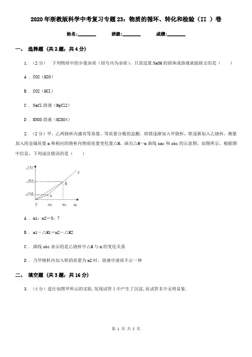 2020年浙教版科学中考复习专题23：物质的循环、转化和检验(II)卷