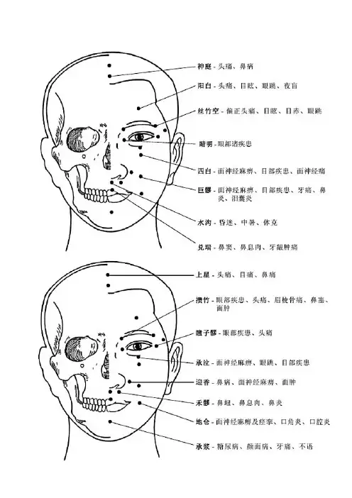 全身穴位图解