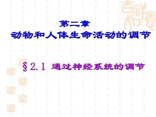 通过神经系统的调节