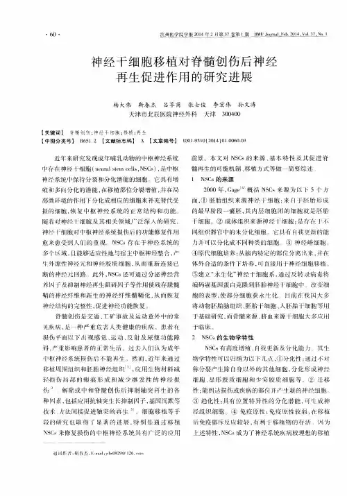 神经干细胞移植对脊髓创伤后神经再生促进作用的研究进展