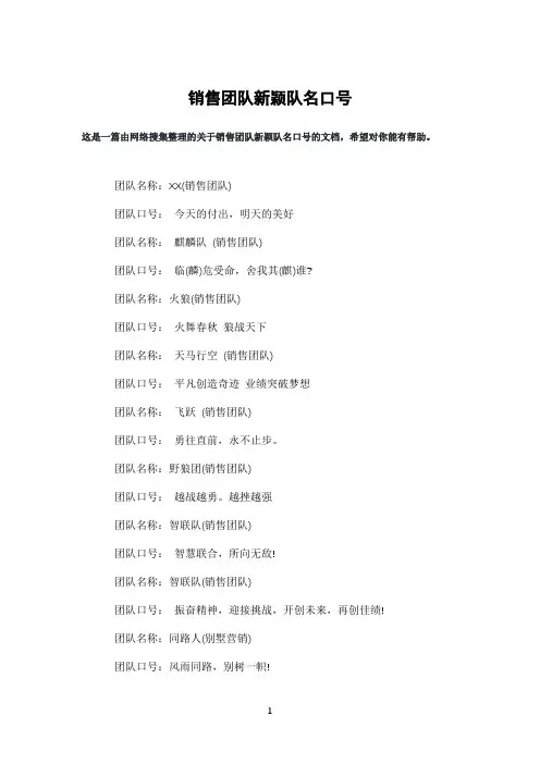 销售团队新颖队名口号