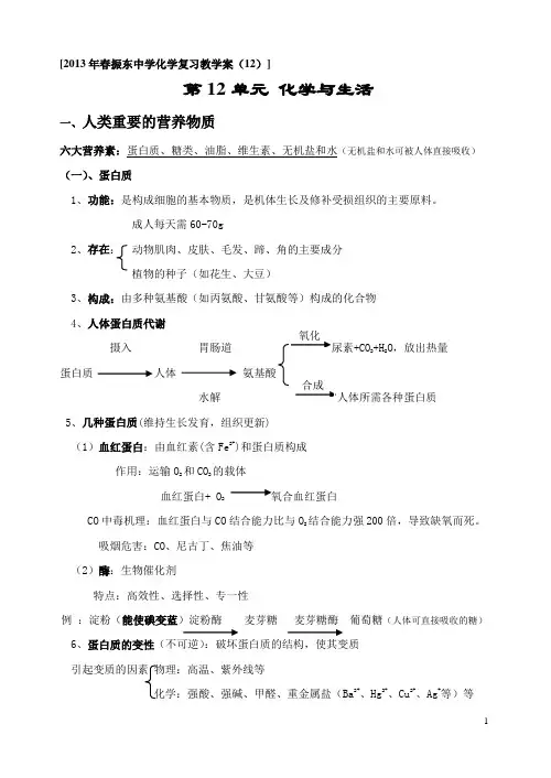 化学复习教学案下(5)