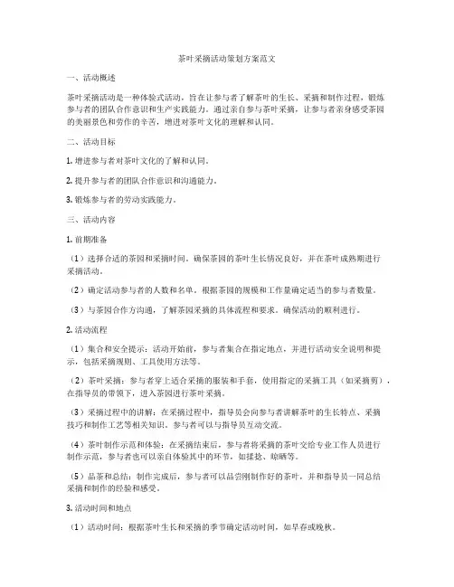 茶叶采摘活动策划方案范文