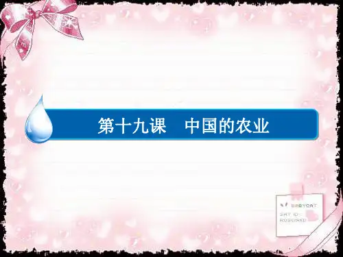 《金版教程》2018-2019学年高中区域地理配套课件：19中国的农业